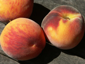Peaches