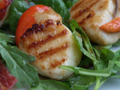Scallops