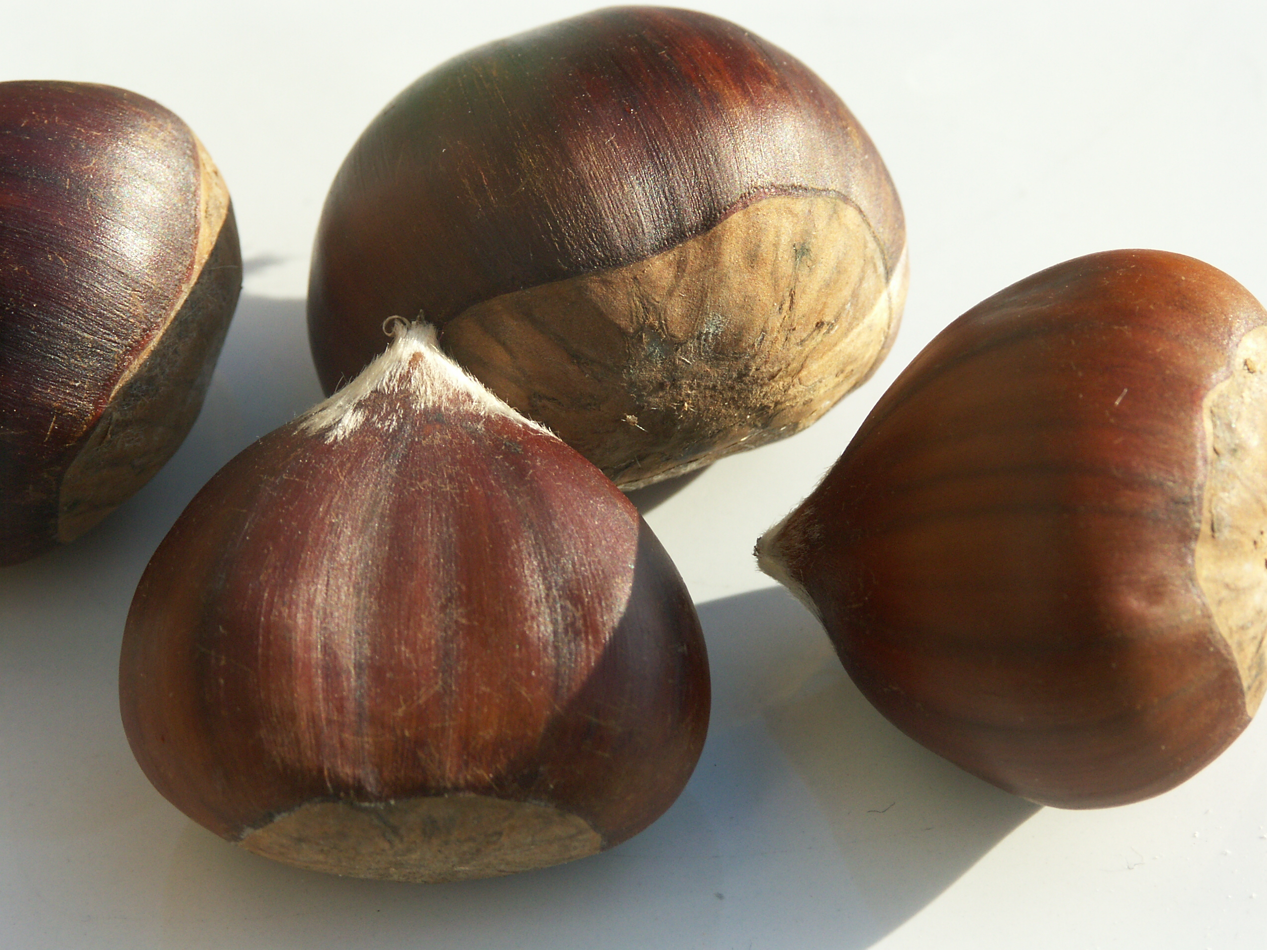 An image of chestnuts