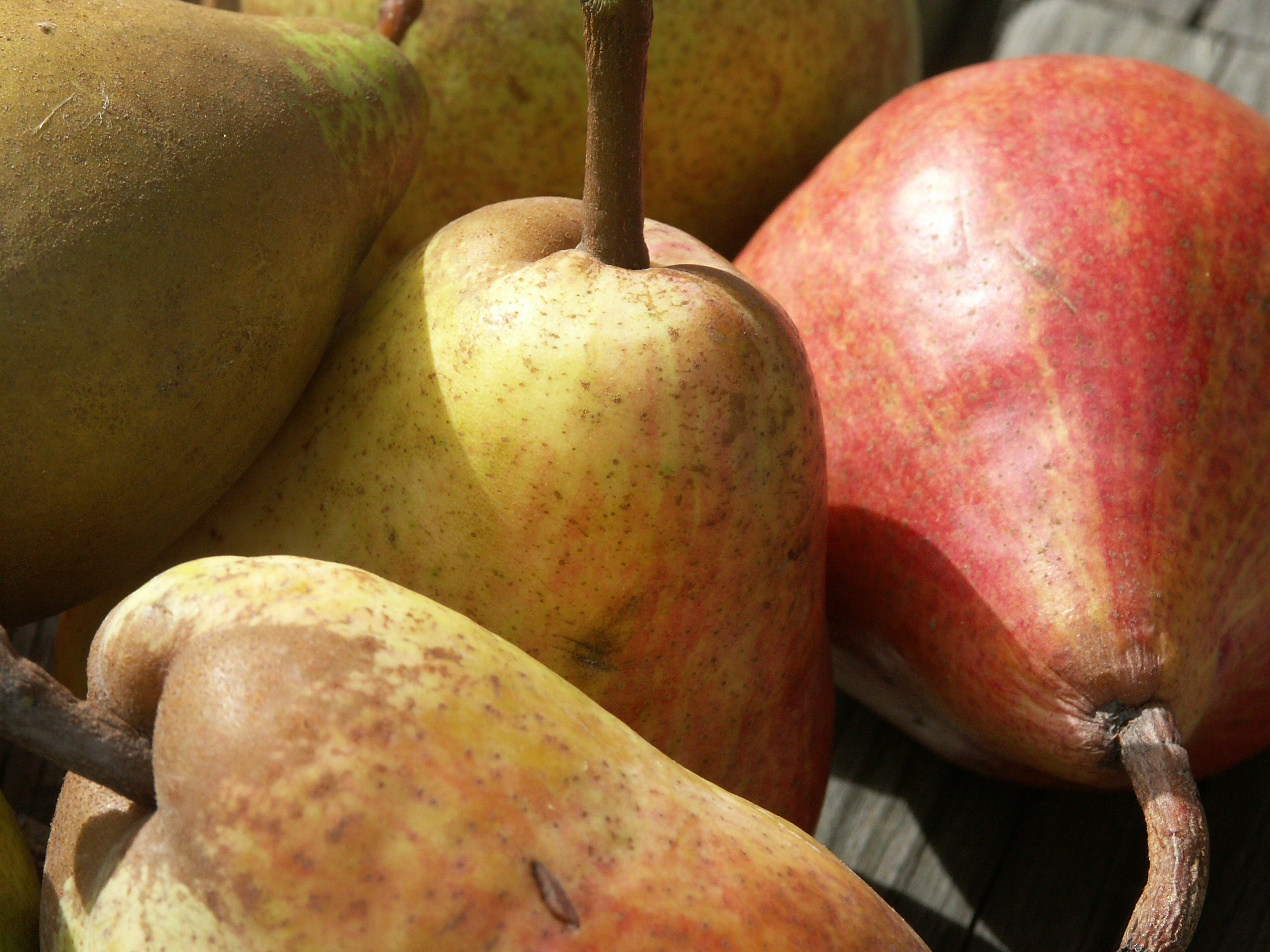 An image of pears