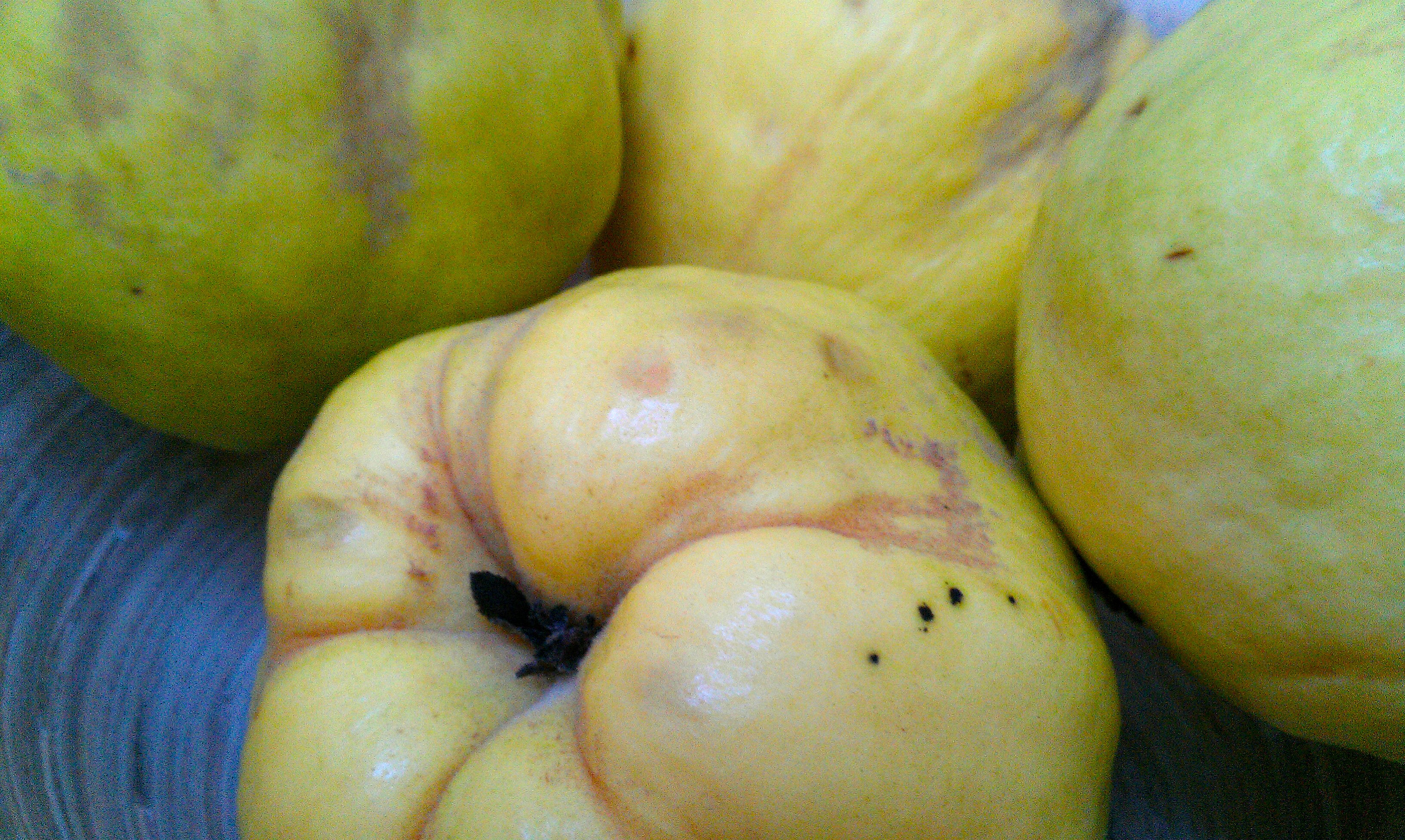 An image of quince